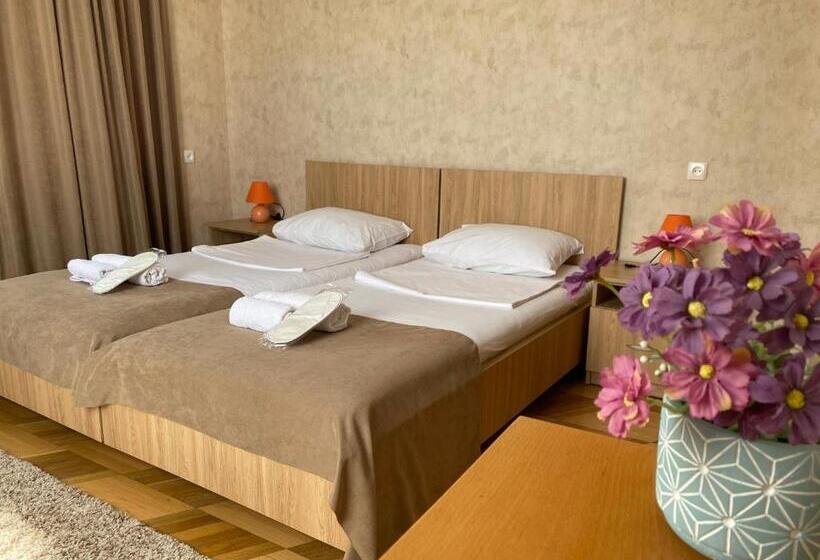 اتاق استاندارد, Tsinandali Inn