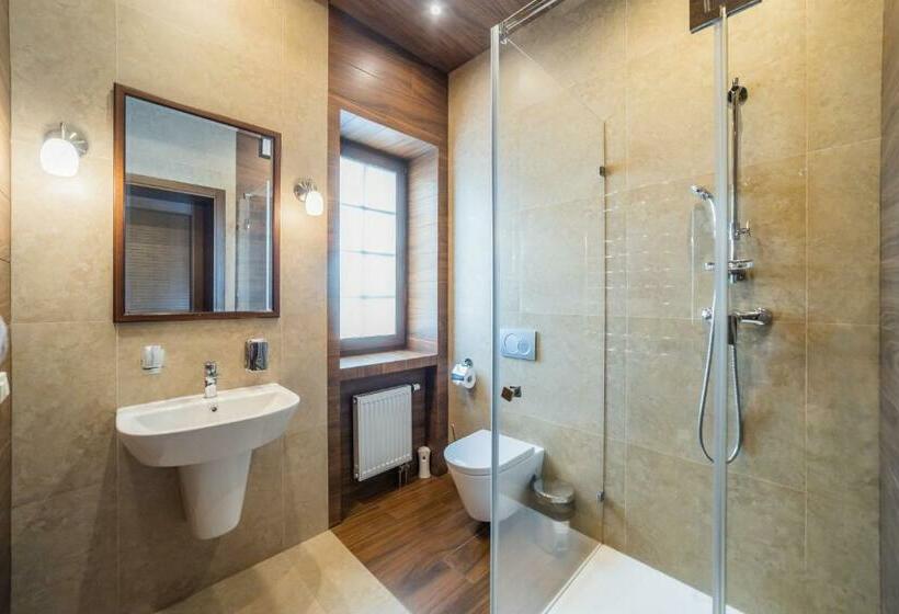 اتاق استاندارد یک نفره, Petrani Nivki