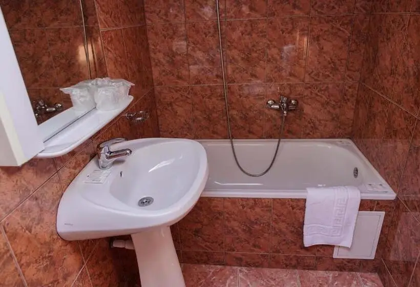 اتاق اکونومی, Bucharest Downtown Inn