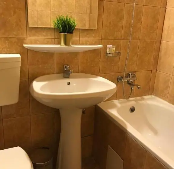 اتاق اکونومی, Bucharest Downtown Inn