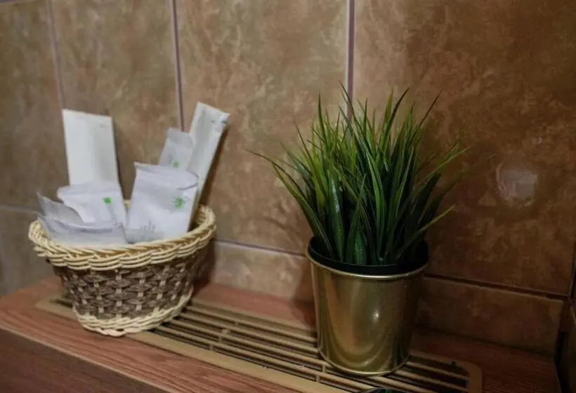 اتاق اکونومی, Bucharest Downtown Inn