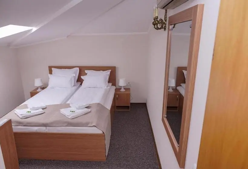 اتاق اکونومی, Bucharest Downtown Inn