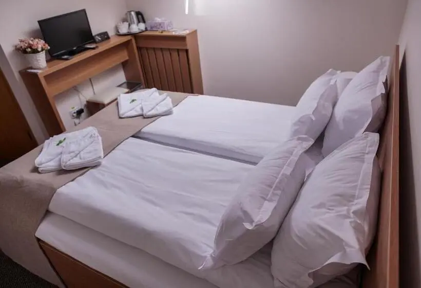 اتاق اکونومی, Bucharest Downtown Inn