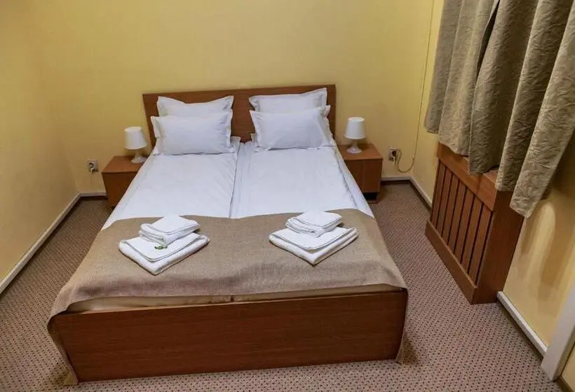 اتاق اکونومی, Bucharest Downtown Inn