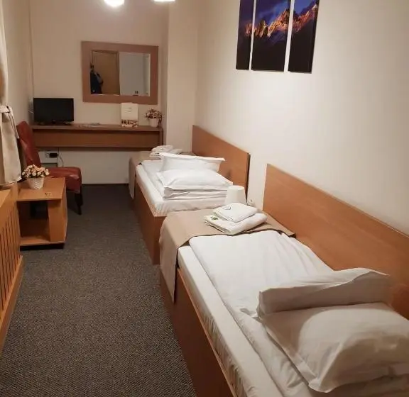اتاق اکونومی, Bucharest Downtown Inn