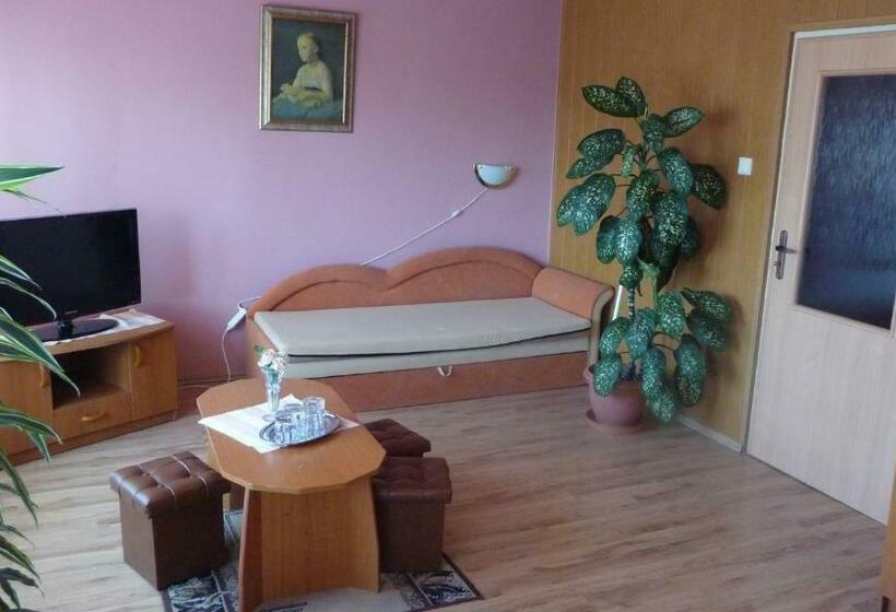 اتاق استاندارد, štadión