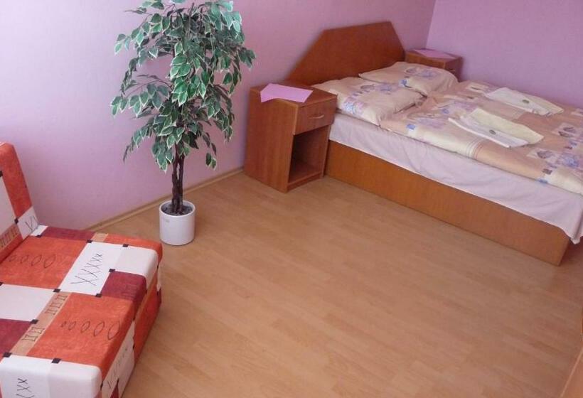 اتاق استاندارد, štadión