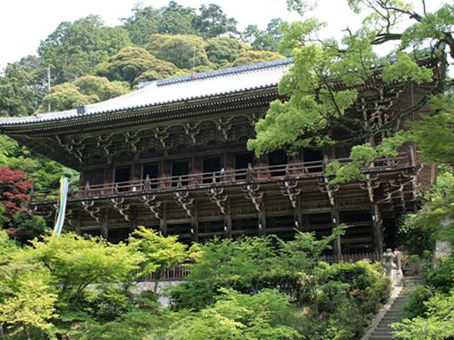 스탠다드 싱글 룸, 月のあかり