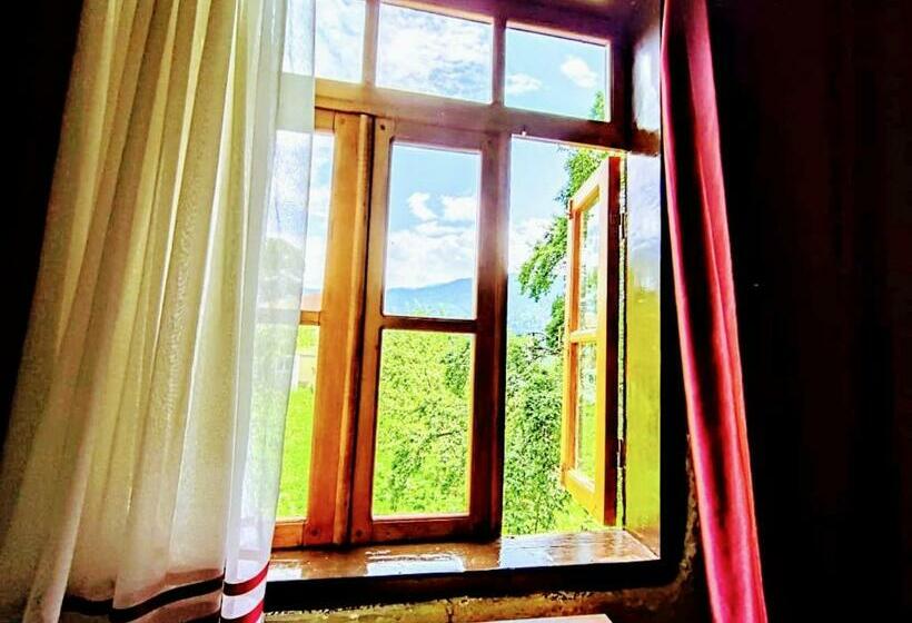 اتاق استاندارد با چشم‌انداز, Laila Guest House