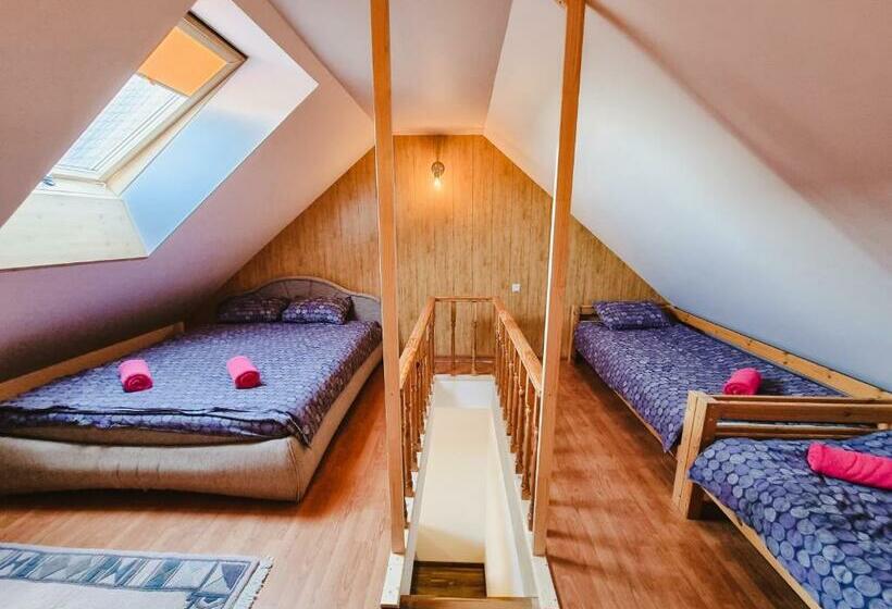 اتاق لوکس خانوادگی, Viesu Nams Kāpsargi