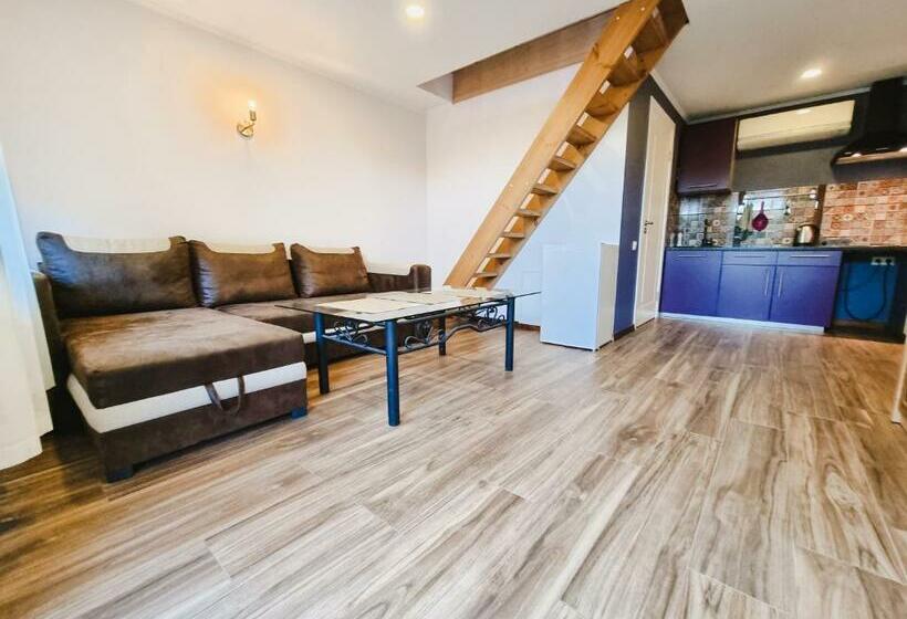 اتاق لوکس خانوادگی, Viesu Nams Kāpsargi