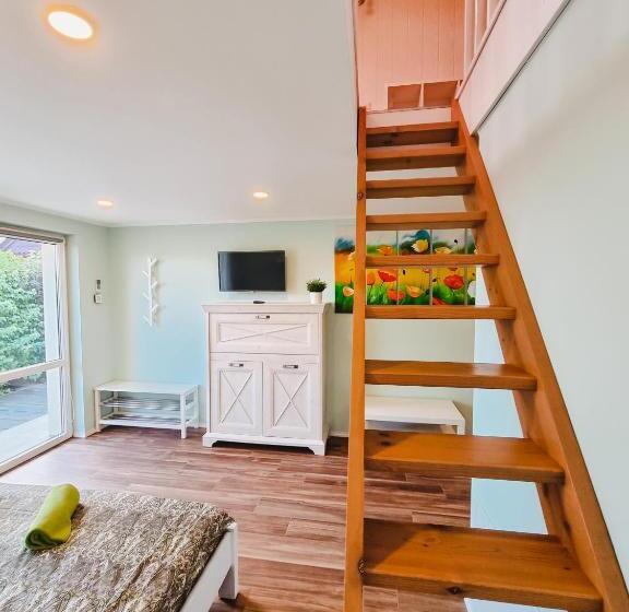 اتاق خانوادگی, Viesu Nams Kāpsargi