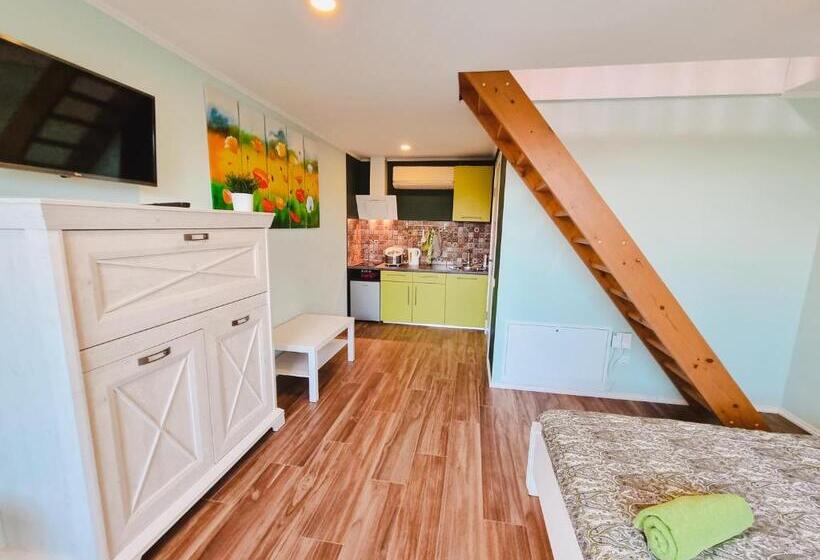 اتاق خانوادگی, Viesu Nams Kāpsargi