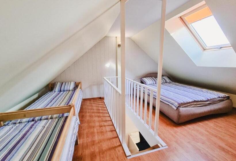 اتاق لوکس خانوادگی, Viesu Nams Kāpsargi