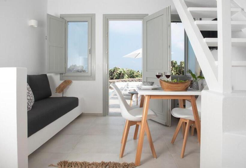 带1个卧室带泳池的公寓, White Orchid Suites