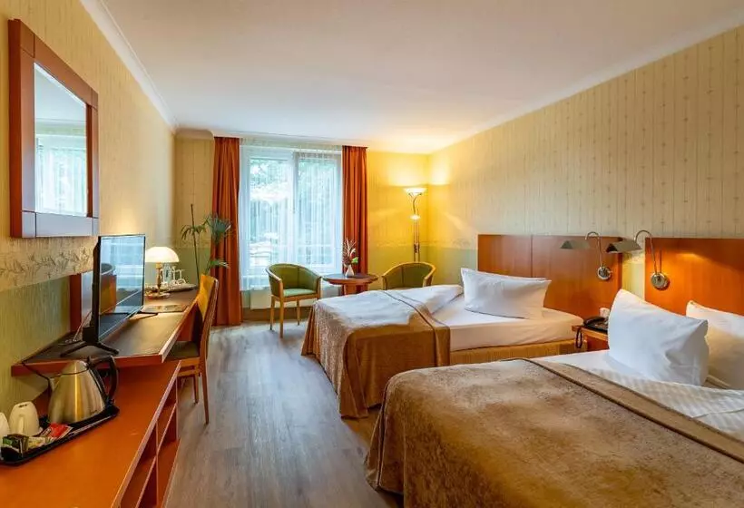 Pokój Standard, Parkhotel Görlitz