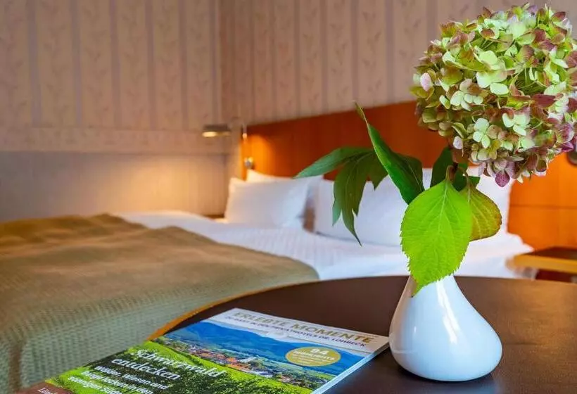 Pokój Standard Jednoosobowy, Parkhotel Görlitz