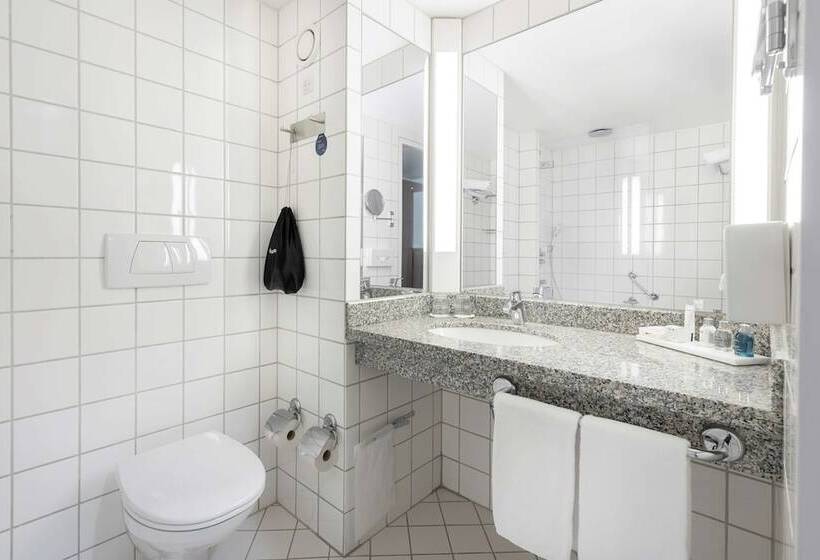 חדר סטנדרט, Radisson Blu Scandinavia Hotel Aarhus