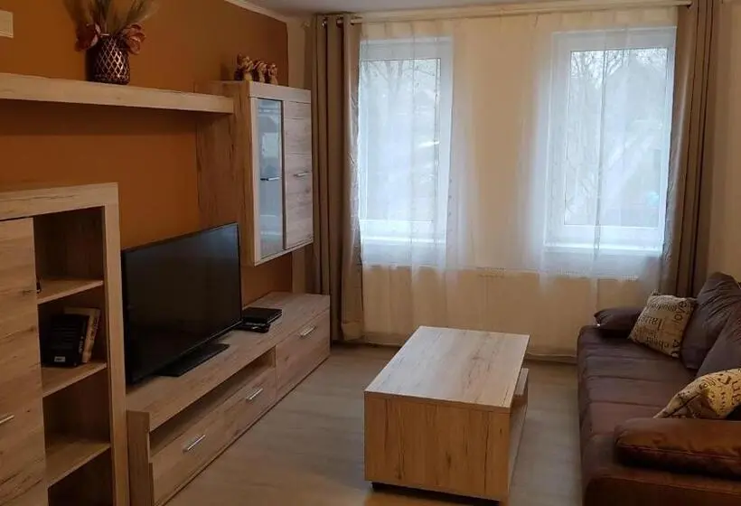 １ベッドルームアパートメント, Harz Pension