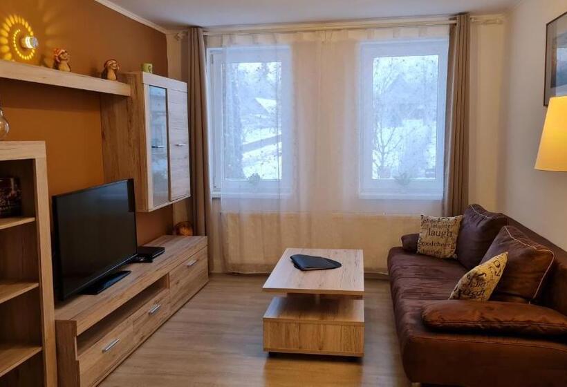 Апартаменты 1 Спальня, Harz Pension
