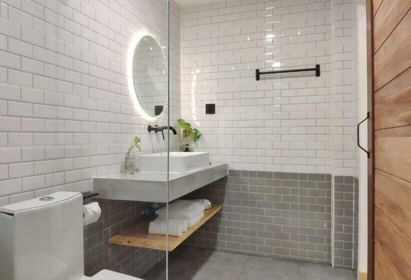 Номер Стандарт, Aono