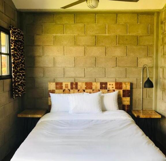 ガーデンビュースタンダードルーム, Cálido Cosmos