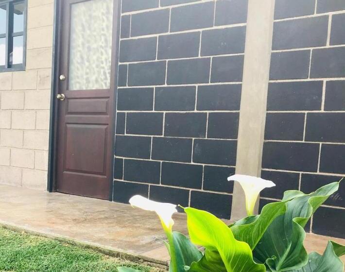 ガーデンビュースタンダードルーム, Cálido Cosmos