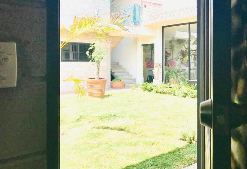 スタンダードルーム, Cálido Cosmos