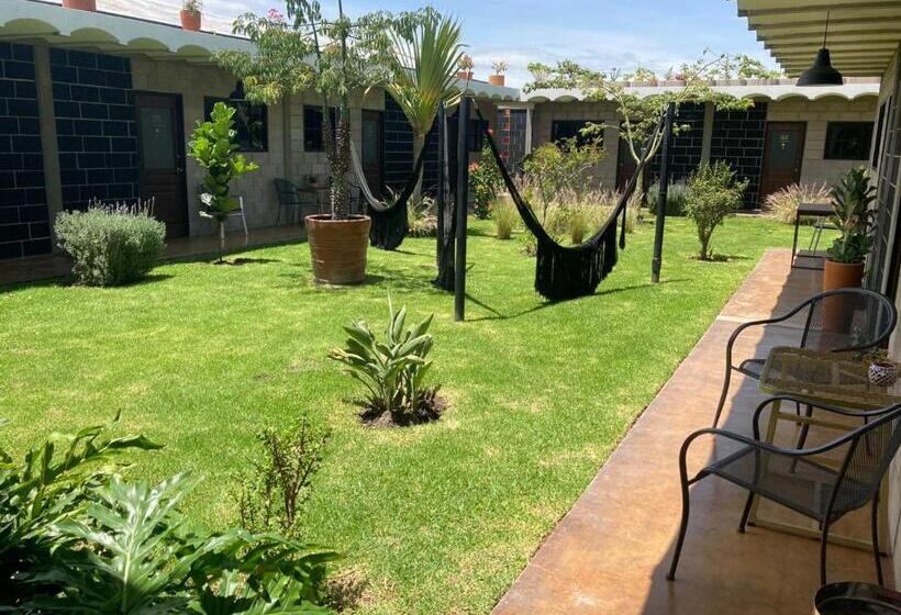 スタンダードルーム, Cálido Cosmos