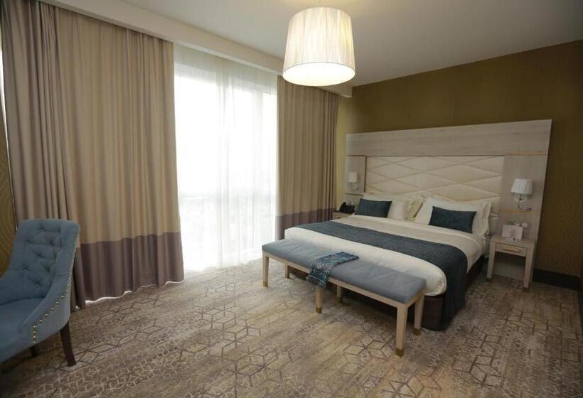 اتاق استاندارد با تخت بزرگ, Rodina Hotel Spa & Conferences