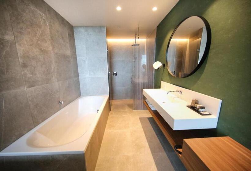 コンフォートルーム, Van Der Valk Hotel Amsterdam Zuidas Rai