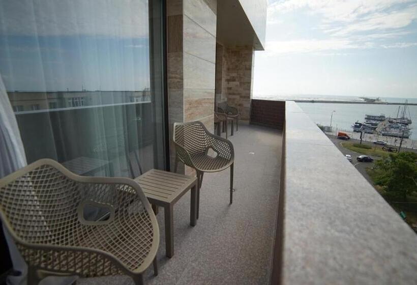 דירת חדר, Msr Port