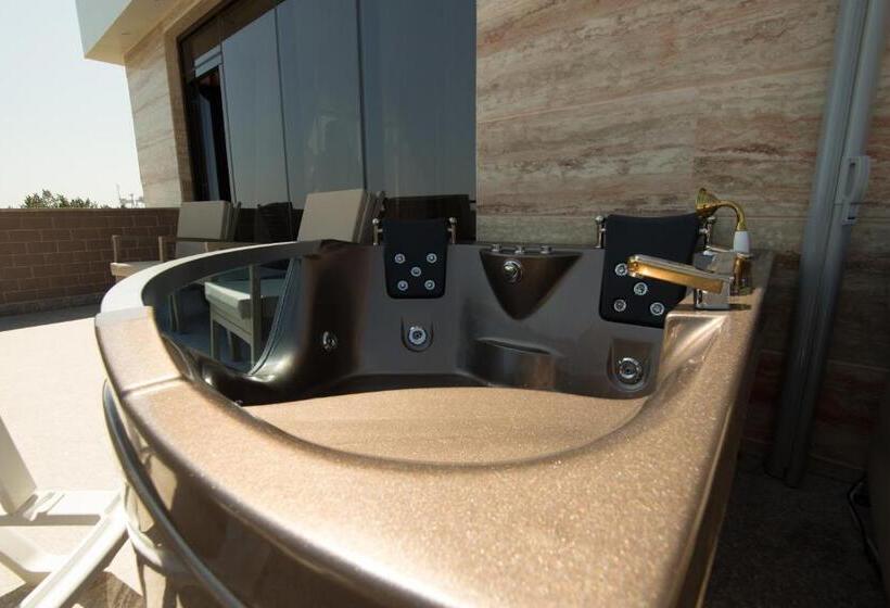 דירת חדר, Msr Port