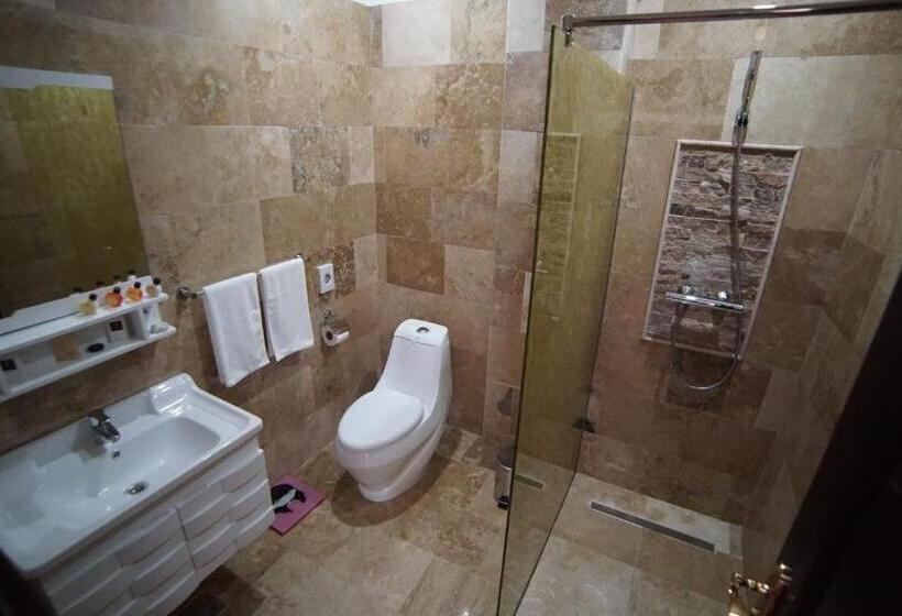 דירת חדר, Msr Port