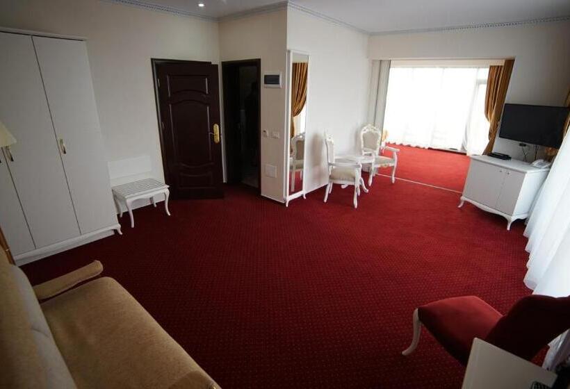 דירת חדר, Msr Port