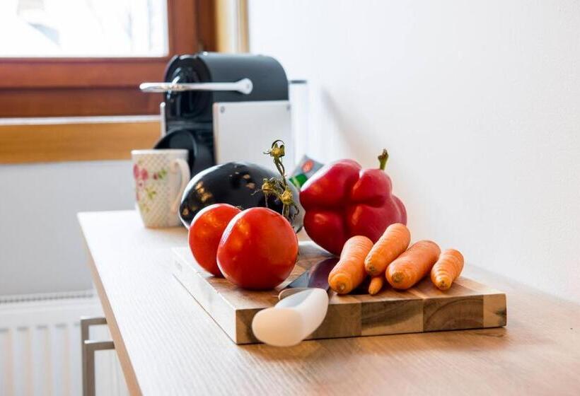 침실 1개 전망 아파트, Berghof Reiter