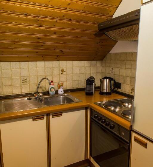 침실 1개 테라스 아파트, Berghof Reiter