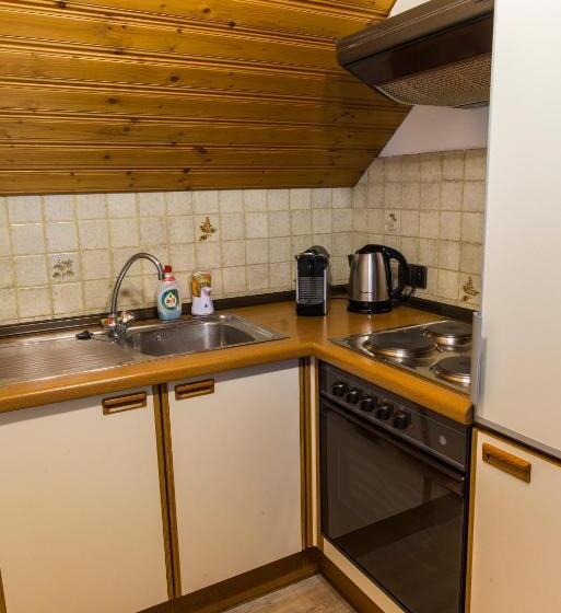 침실 1개 테라스 아파트, Berghof Reiter