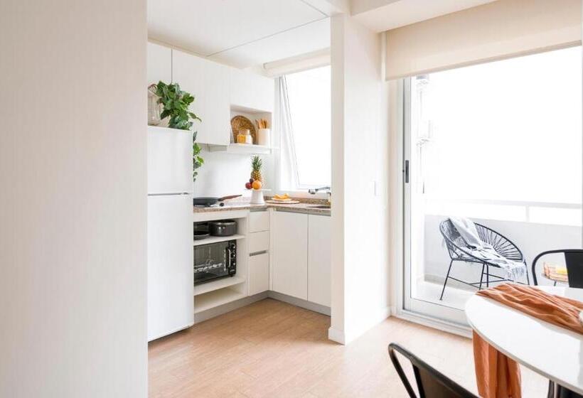 آپارتمان سوپریور 1 خوابه, Top Rentals Palermo Chico