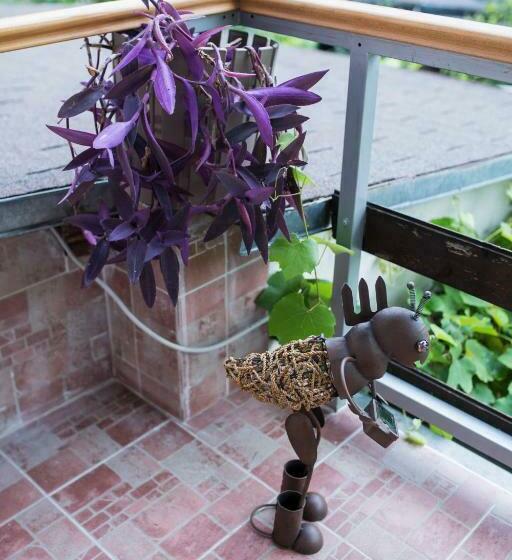 آپارتمان 3 خوابه, Apartman Nisa