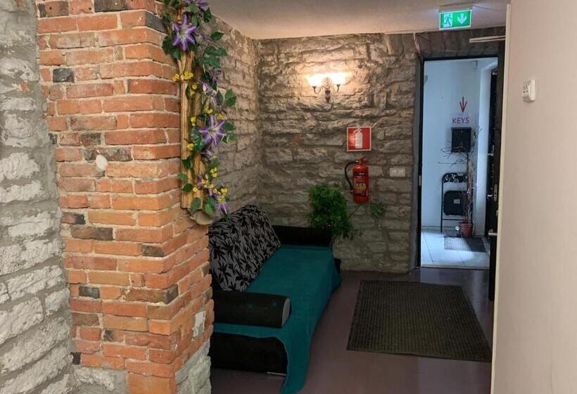 اتاق عادی یک تخته, Süda Hostel