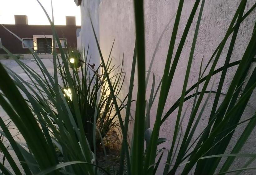 דירת חדר נוף לבריכה, Ayres De Merlo Aparts