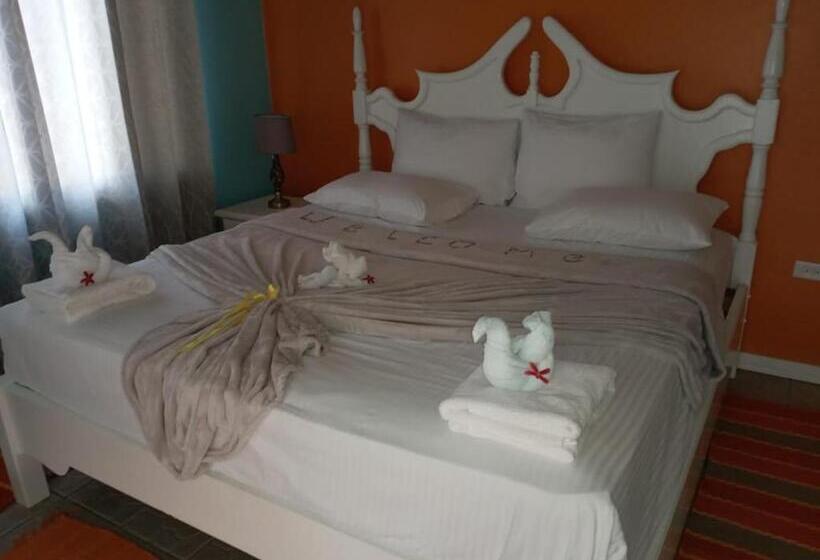 آپارتمان 1 خوابه با چشم‌انداز دریا, Castara Inn