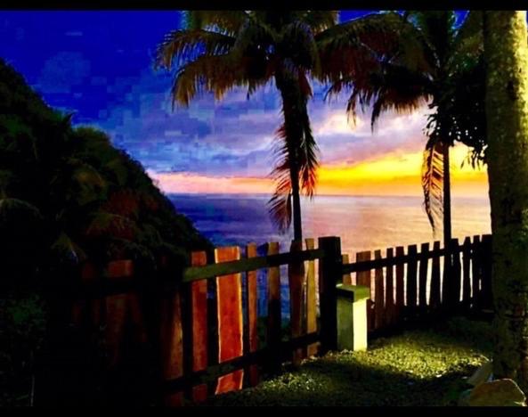 آپارتمان 1 خوابه با چشمانداز دریا, Castara Inn