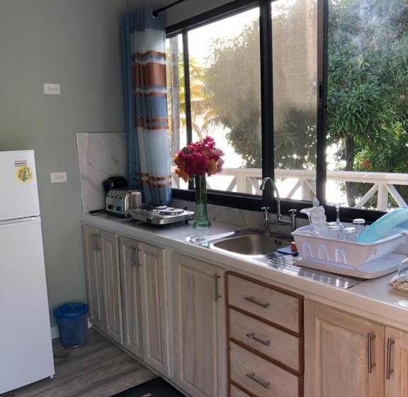 استودیوی استاندارد با چشمانداز دریا, Castara Inn