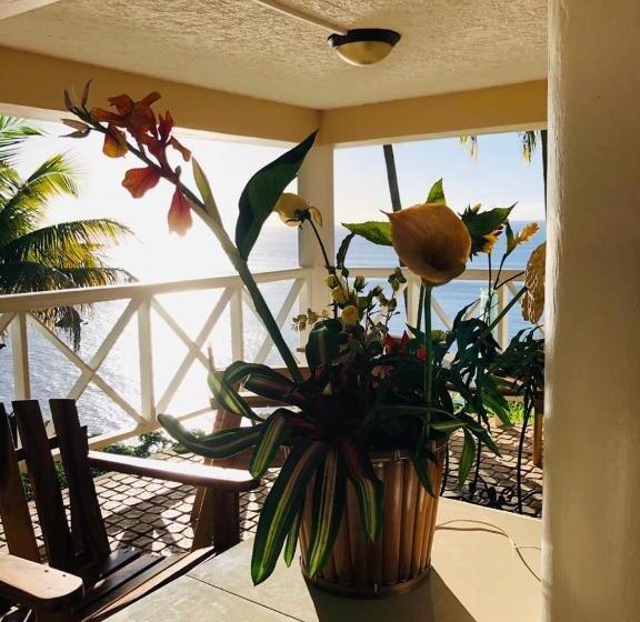 استودیوی استاندارد با چشمانداز دریا, Castara Inn