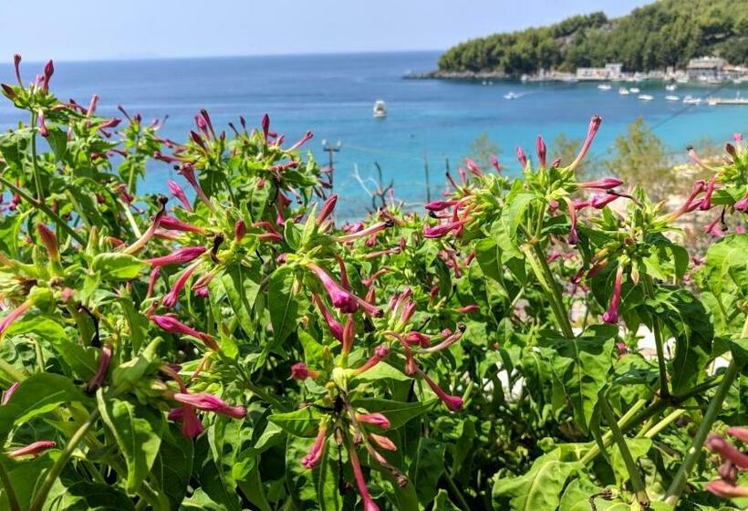 Апартаменты 1 Спальня Вид на Море, Fane S Apartments