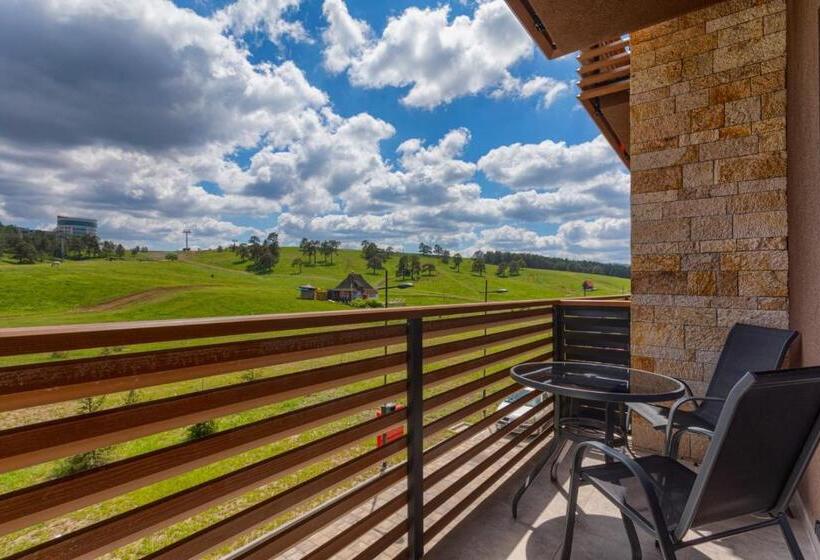 آپارتمان 1 خوابه با چشمانداز, Kalman Spa&gym