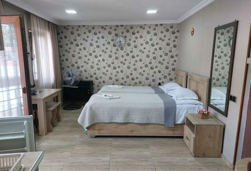 استودیوی استاندارد, Guesthouse Saba