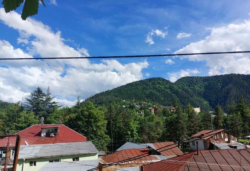استودیوی استاندارد, Guesthouse Saba